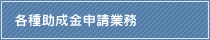 e폕\Ɩ